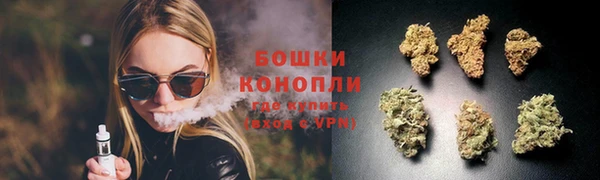 ПСИЛОЦИБИНОВЫЕ ГРИБЫ Балахна