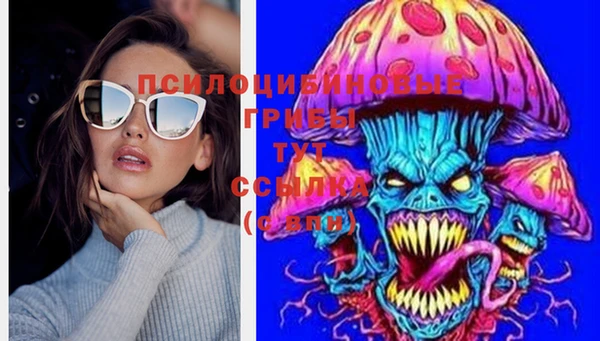 шишки Балабаново