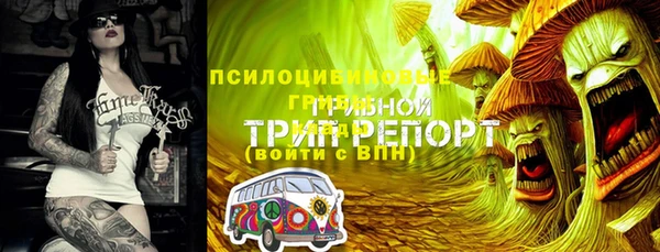 шишки Балабаново