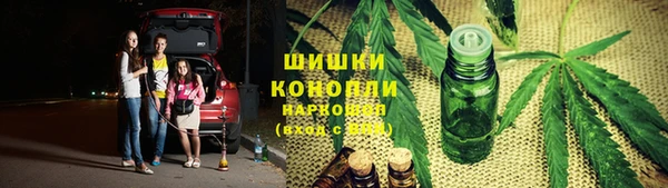 ПСИЛОЦИБИНОВЫЕ ГРИБЫ Балахна
